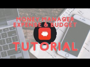 MONEY MANAGER EXPENSE & BUDGET